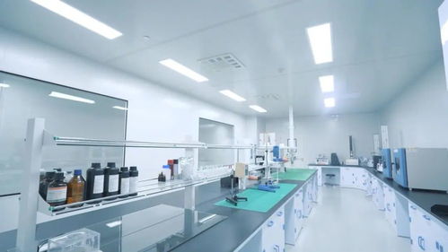 鑄就極致產(chǎn)品 打響中國智造 走進(jìn)中威時(shí)和汽車膜工廠的技術(shù)服務(wù)探索