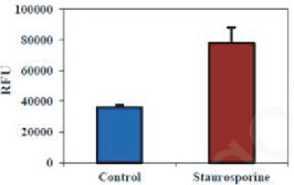 BBI細(xì)胞組學(xué)產(chǎn)品秋冬促銷火熱開啟，放開價(jià)勢無需再等
